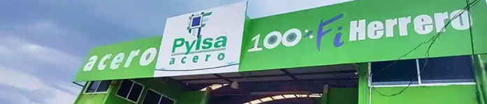 Grupo Pylsa
